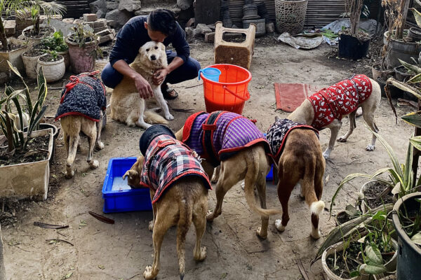 yamuna Khimtsang dog feeding