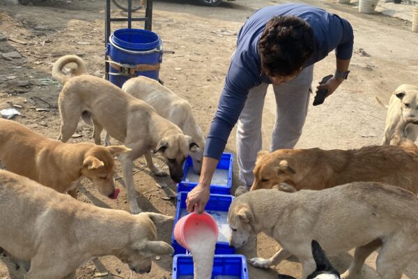 Yamuna Khimtsang Dog food